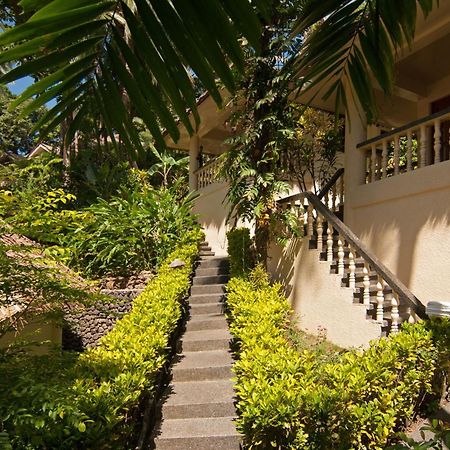 Easy Diving And Beach Resort Sipalay Exterior foto